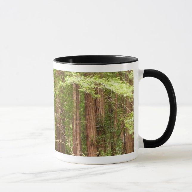 Taza Árboles de secuoya en monumento nacional Muir Wood (Derecha)