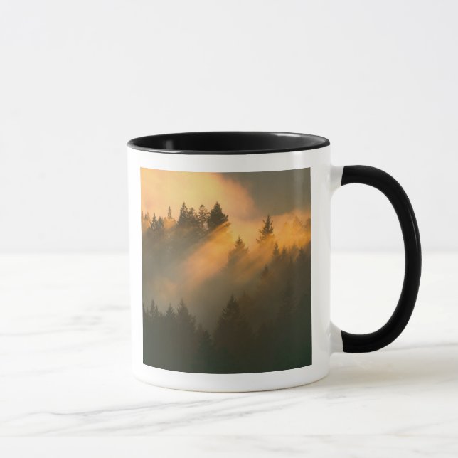 Taza Árboles de secuoya en niebla costera, Condado de M (Derecha)
