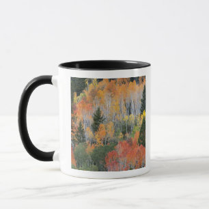 Taza Árboles del río Provo y álamos