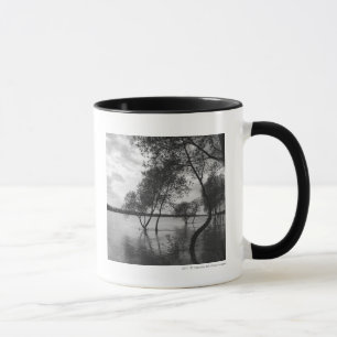 Taza Árboles en el lago