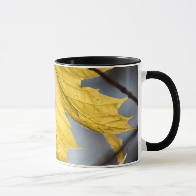 Taza Arce azucarero, otoño (Derecha)