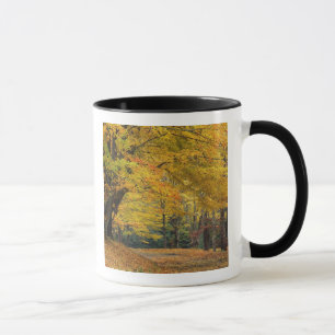 Taza Arce de otoño que sobresale de un camino rural,