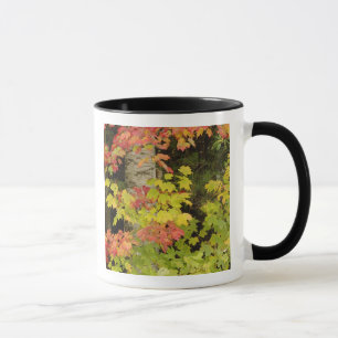 Taza Arce de otoño y abedul, Blanco
