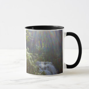 TAZA ARCO IRIS DE EDEN