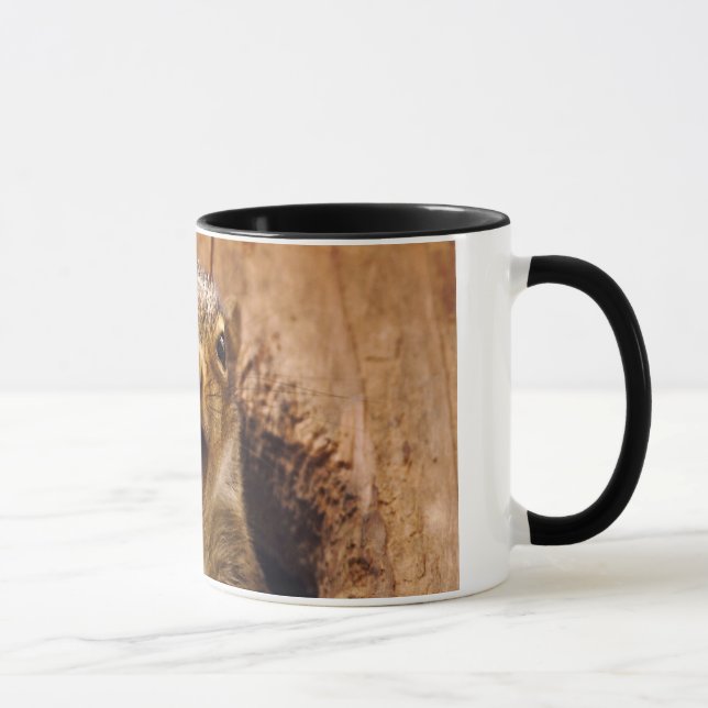 Taza Ardilla chocada (Derecha)