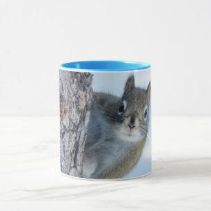 Taza Ardilla curiosa, buscando de un árbol