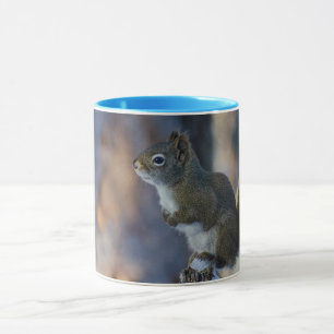 Taza ardilla de invierno, animal marrón, fotografía can