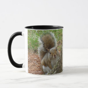 Taza Ardilla del peekaboo