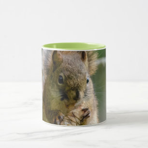 Taza Ardilla marrón en Alberta – Vida silvestre del bos