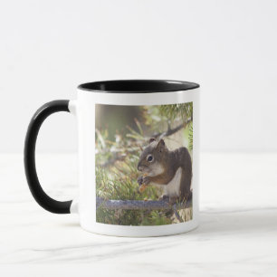 Taza Ardilla que come un cono 2 del pino