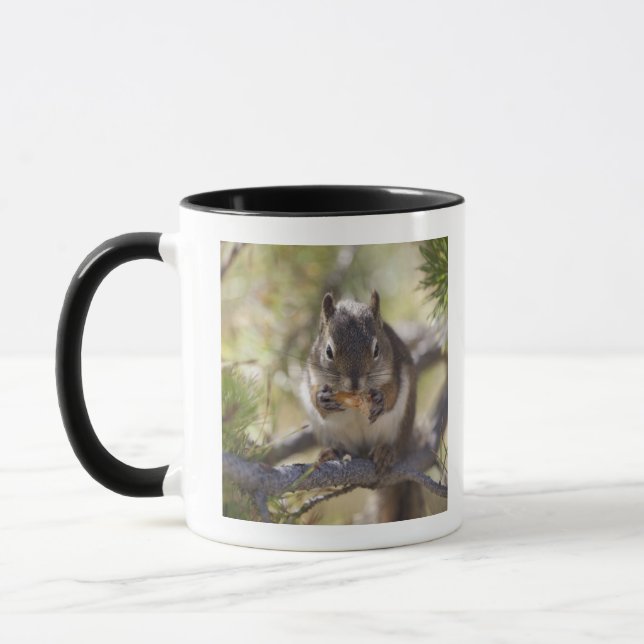 Taza Ardilla que come un cono del pino (Izquierda)