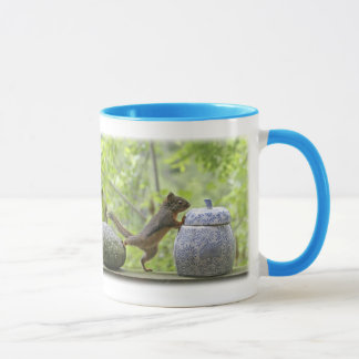 Taza Ardilla y tarro de galletas