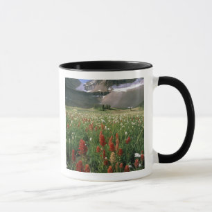 TAZA ÁREA VIRGEN DE MOUNT TIMPANOGOS, UT, EE. UU.,