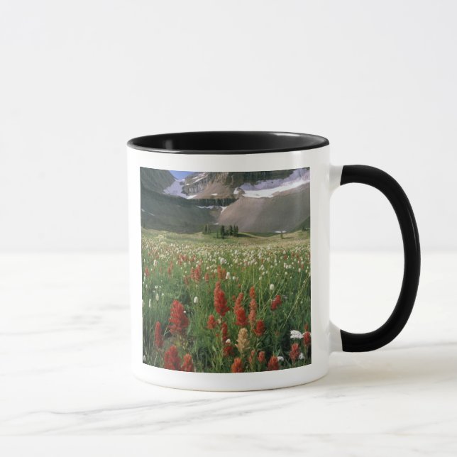 TAZA ÁREA VIRGEN DE MOUNT TIMPANOGOS, UT, EE. UU., (Derecha)