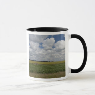 Taza Argentina, Buenos Aires, San Antonio de Areco.