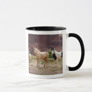 Taza Arizona, Reserva de indios navajos, Chinle,