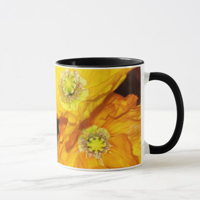 Taza Aroma dorado de Islandia fotografía (Derecha)