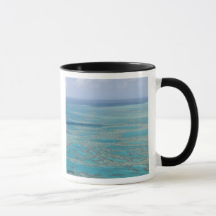 Taza Arrecife tropical, Gran Barrera de Coral, Queensla