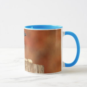 Taza Arrendajo azul