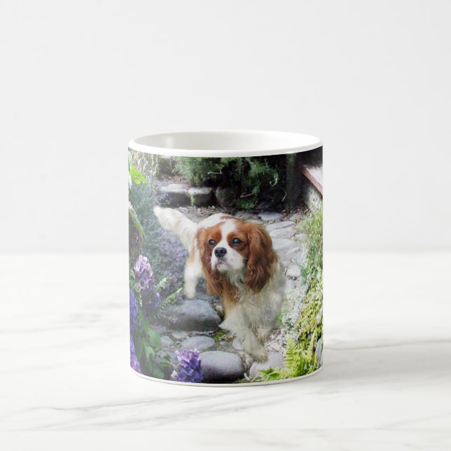 Taza arrogante del perro de aguas de rey Charles (Centro)