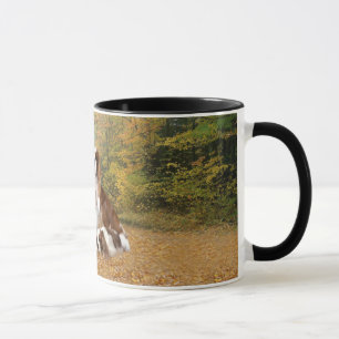 Taza arrogante del perro de aguas de rey Charles