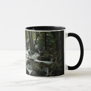Taza Arroyo Bridalveil en el Parque Nacional Yosemite