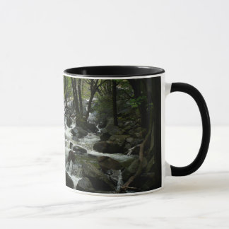 Taza Arroyo Bridalveil en el Parque Nacional Yosemite