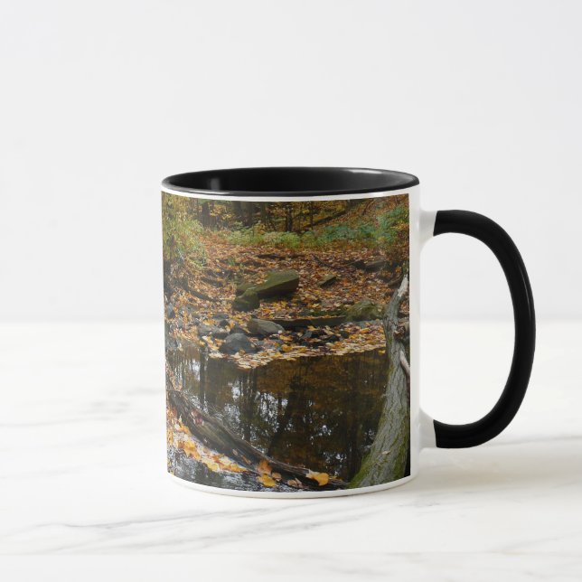 Taza Arroyo Fall Creek con reflejo en el parque Laurel  (Derecha)