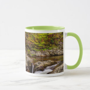 Taza Arroyo forestal en Grandes Montañas Humeantes