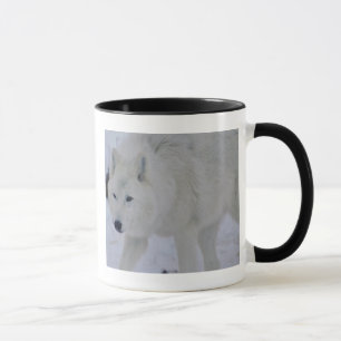 Taza ártica del lobo