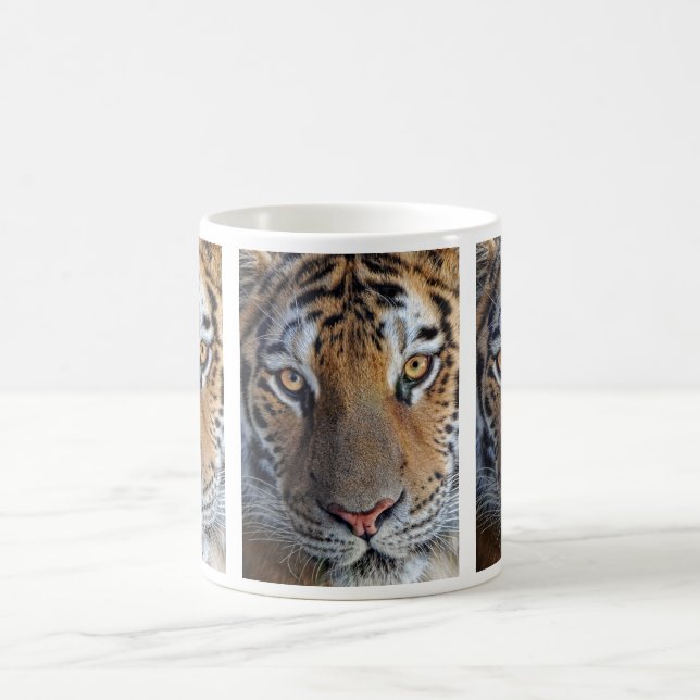 Taza ascendente cercana del tigre (Centro)