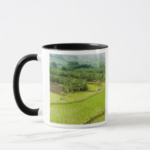 Taza Asia, China, provincia de Yunnan, Honghe. Plátano