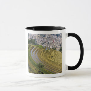 Taza Asia, China, provincia de Yunnan, Jinping. Jinping
