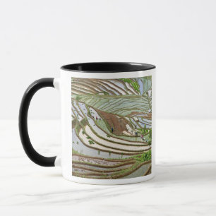 Taza Asia, China, Yunnan, Jinping. Gente autóctona Yi