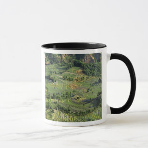 Taza Asia, China, Yunnan, Yuanyang. Patrón de verde 2