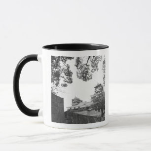 Taza Asia, Japón, Kumamoto. Kumamoto, castillo de Kumam