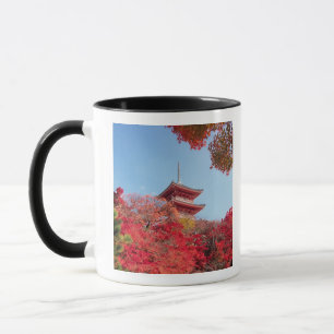Taza Asia, Japón, Kyoto. Color de otoño