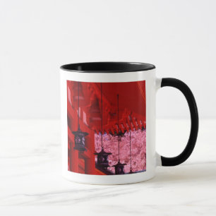 Taza Asia, Japón, Kyoto, santuario Heian en primavera.