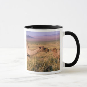 Taza Asia, Mongolia, desierto de Gobi, Gran Gobi