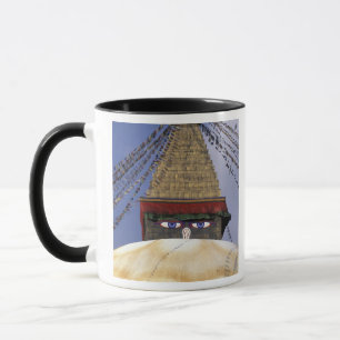 Taza Asia, Nepal, Katmandú. Estupa de Boudhanath. 2