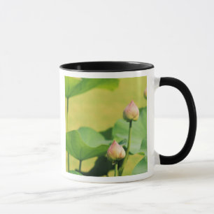 Taza Asia, Tailandia, Bangkok. Gran Palacio, loto