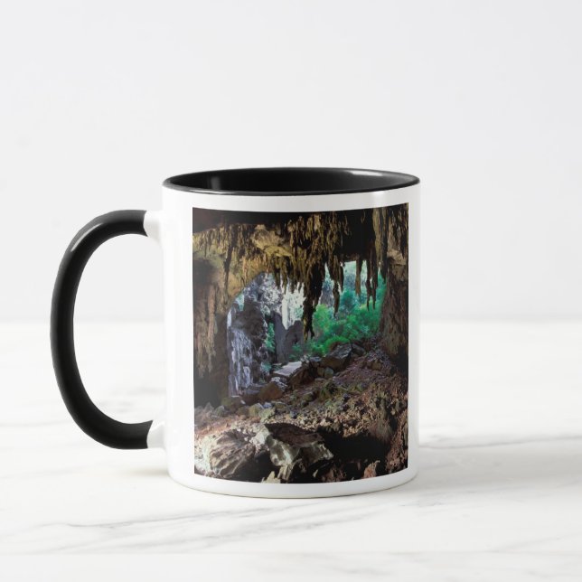 Taza Asia, Tailandia, Parque Nacional Bahía de Phangnga (Izquierda)