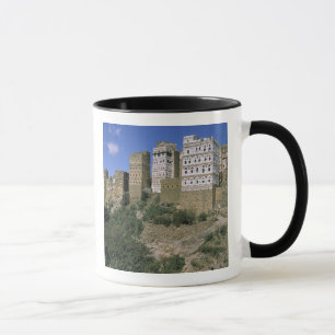 Taza Asia, Yemen, Al Hajjara. Edificios y solo