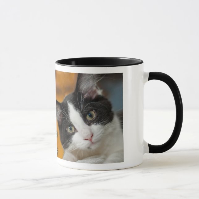 Taza Asio y gatitos de Otis (Derecha)