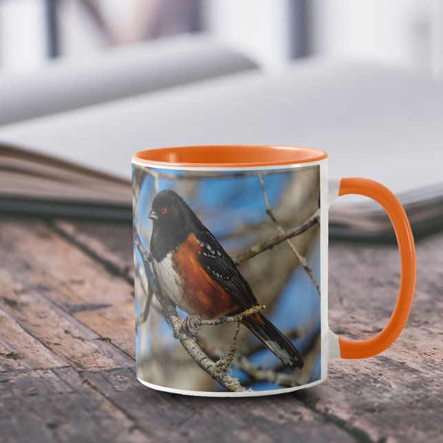 Taza Asombroso pájaro sonoro en bifurcación (Spotted Towhee on Branch 11 oz Coffee Mug Cover Photo.)