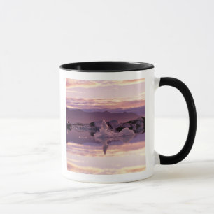 Taza Atlántico Norte, Islandia, Breioamerkurjokull