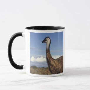 Taza Australia, Australia Occidental. Emu (Dromaius)