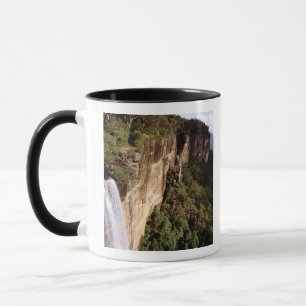 Taza Australia, Nueva Gales del Sur, Fitzroy Falls.