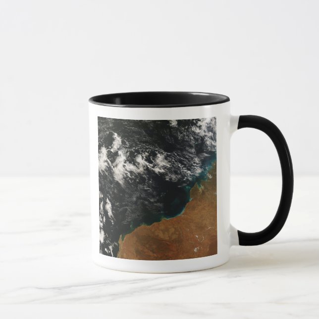 Taza Australia Occidental (Derecha)