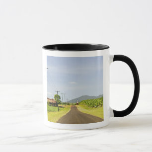 Taza Australia, Queensland, costa norte, Babinda.